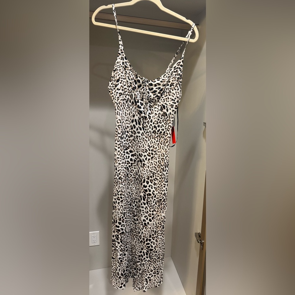 Forever 21 Leopard Print Maxi Dress
